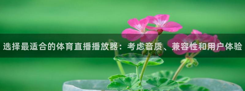 玩球直播app怎么安装
