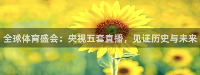 玩球直播安卓下载