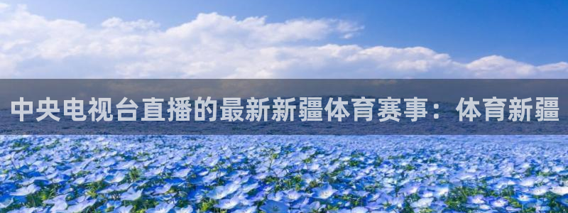 玩球直播nba直播在线直播