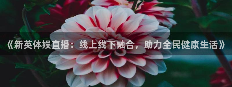 玩球直播app在线下载