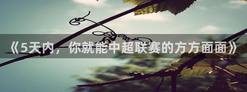 玩球直播网页版