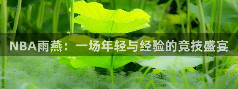 玩球直播最新版
