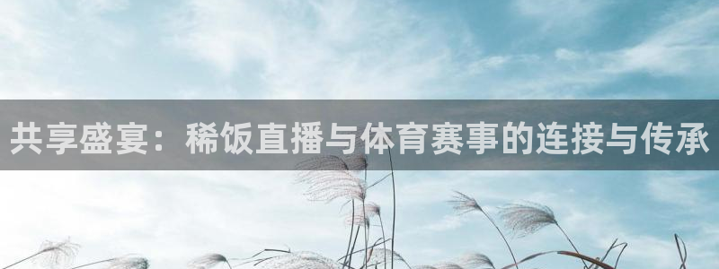 玩球直播观看