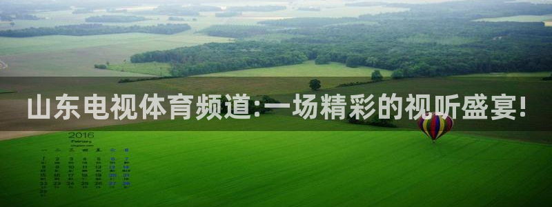 玩球直播(免费版)