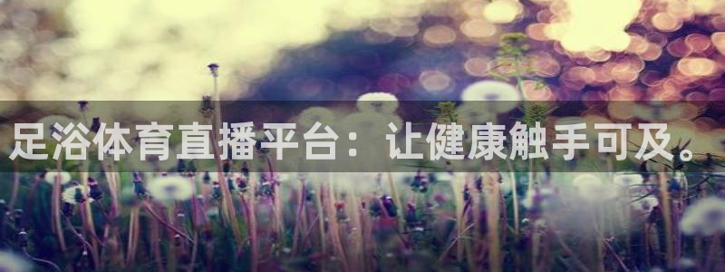 玩球直播世界杯