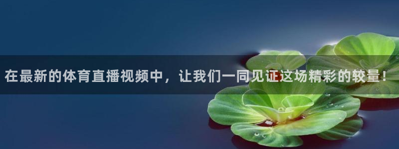 wqzb玩球直播官网登录