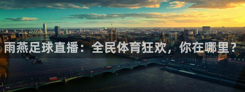 玩球直播在线下载