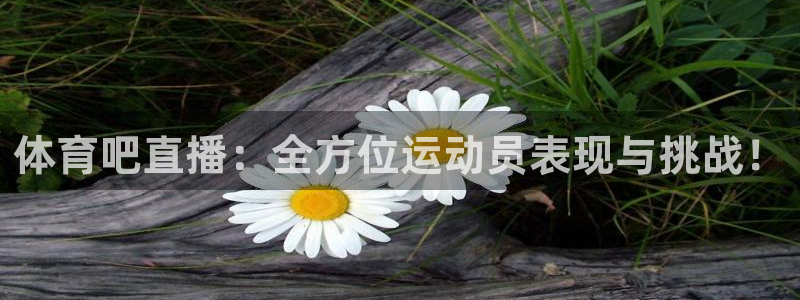玩球直播app官网版
