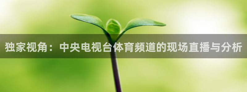玩球直播ios安装包