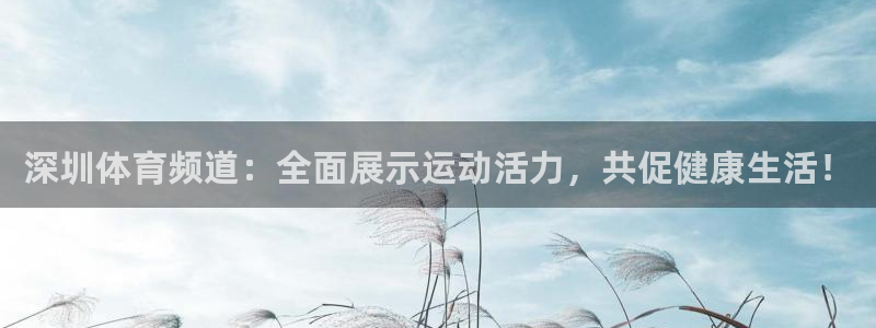 玩球直播官网入口