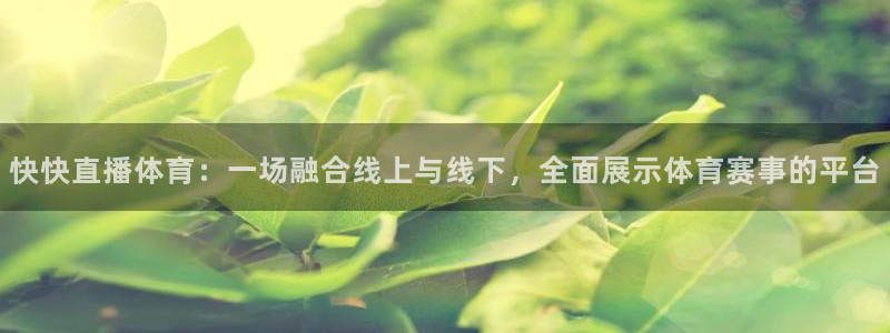 玩球直播体育app下载